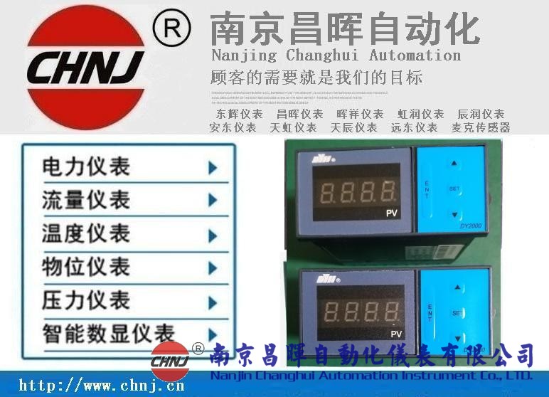 大延牌DY2000、東輝儀表、DY28B02/DY21B02/DY29B02數(shù)顯表